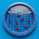 امیر-حسین-زینیا